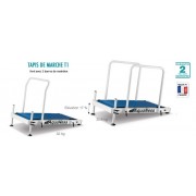 Aquaness AquaTreadmill T1