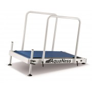 Aquaness AquaTreadmill T1