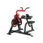 STEELFLEX PLATE LOAD BICEPS & TRICEPS PL2600